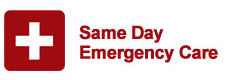 Same Day Emergency Care